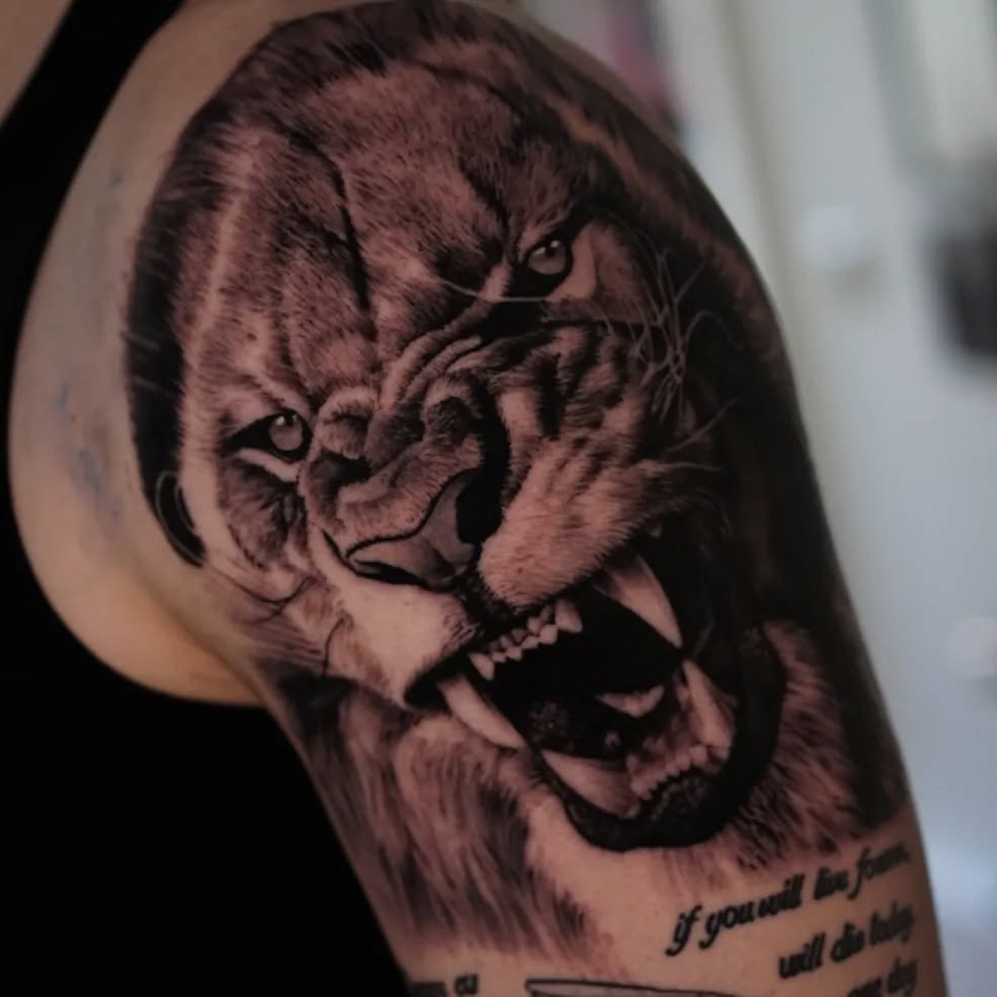 Black&Grey — ryczący lew