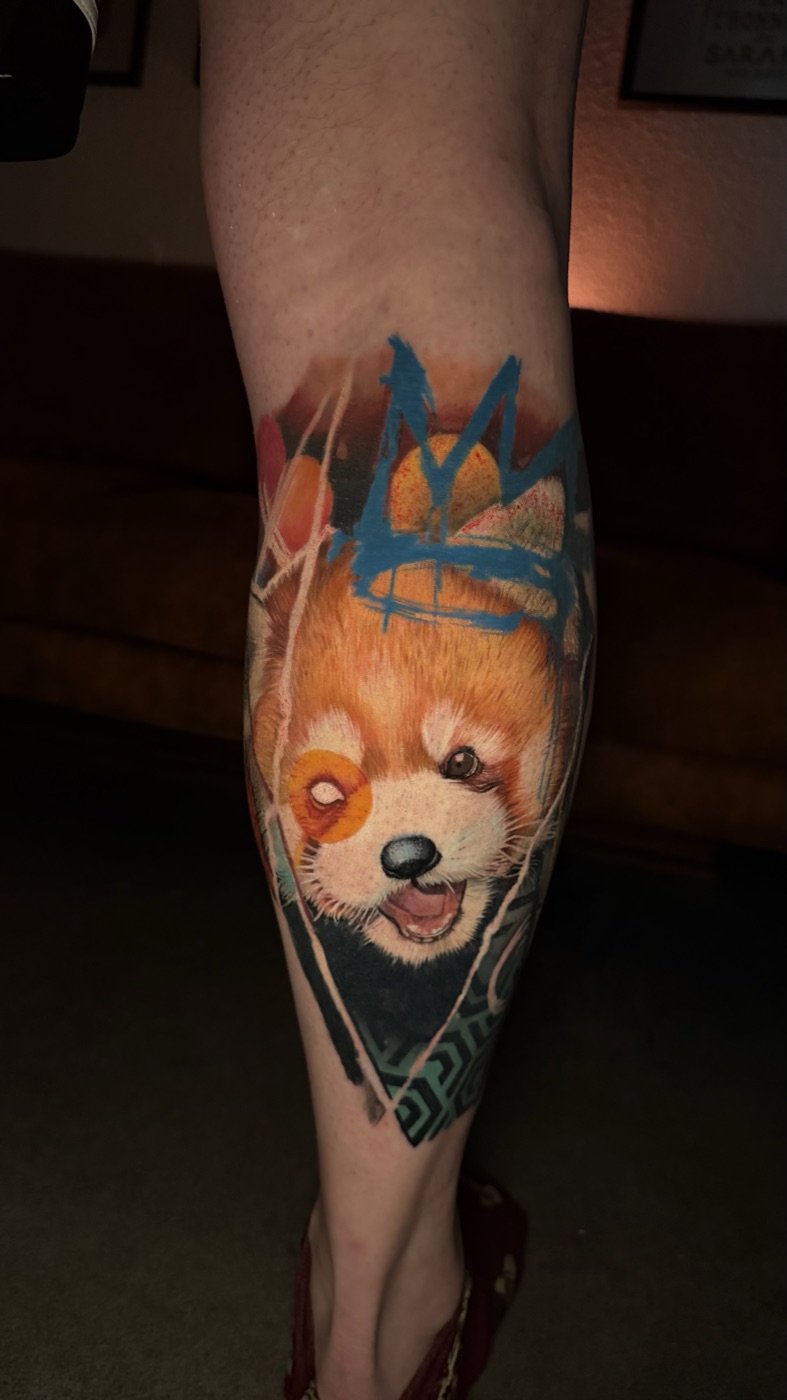 Kolorowy realizm — czerwona panda