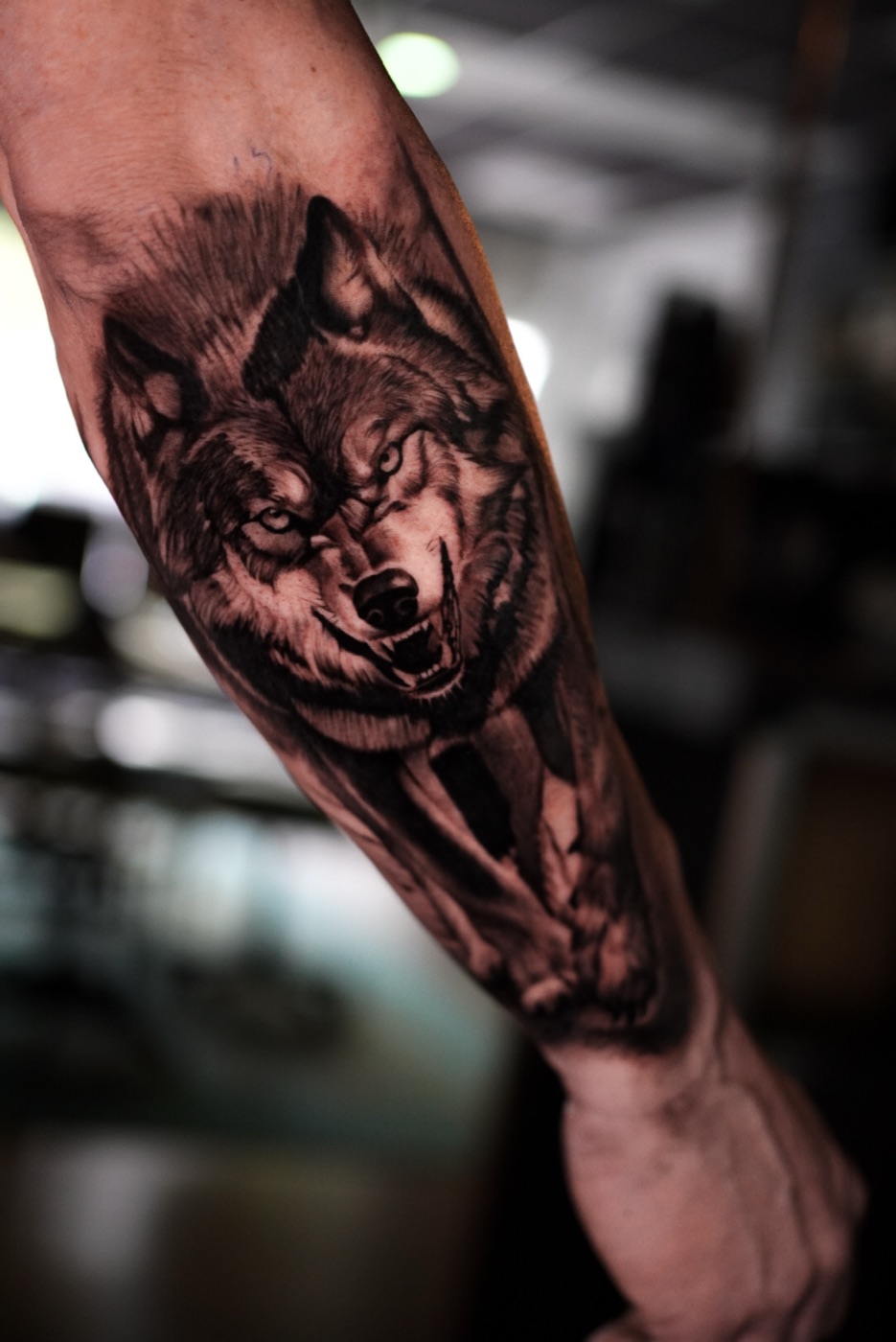 Black&Grey — wilk na przedramieniu