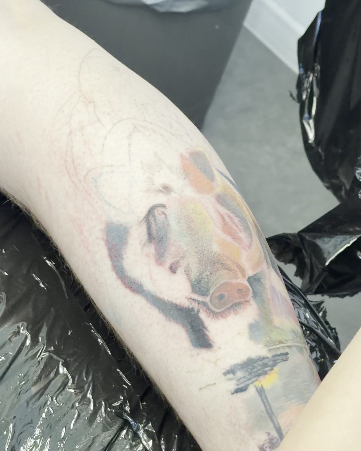 In progress - Colour built up in layers - from highlights to the deepest shadows.